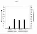 Fig. 02 - Gene controlling flowering time and method for controlling flowering time in plants using the gene