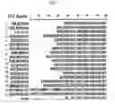 Fig. 04 - Gene controlling flowering time and method for controlling flowering time in plants using the gene