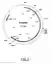 Fig. 03 - Grasses expressing H1 exhibit delayed heading and reduced inflorescenses