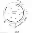 Fig. 04 - Grasses expressing H1 exhibit delayed heading and reduced inflorescenses