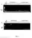 Fig. 05 - Fine mapping and application of dna markers linked to a gall midge resistance gene for marker-aided selection in rice