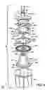 Fig. 07 - Automotive door check assemblies