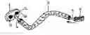 Fig. 01 - Shoe lace