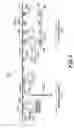 Fig. 08 - Method for aligning capacitor plates in a security tag and a capacitor formed thereby