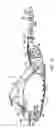 Fig. 09 - Snowshoe binding