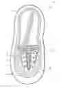 Fig. 01 - Shoe with light and sound activated manually and automatically