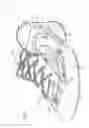 Fig. 02 - Shoe with light and sound activated manually and automatically