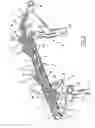 Fig. 02 - Modular structure for maintaining a body part