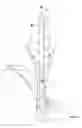 Fig. 02 - Dispensing apparatus and method of dispensing