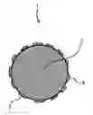 Fig. 01 - Silver powder made of silver particles, each to which fine silver particles adhere and process of producing the same