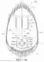 Fig. 11 - Air treatment apparatus having an electrode extending along an axis which is substantially perpendicular to an air flow path