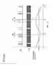 Fig. 06 - Air-fuel ratio control apparatus for multiple cylinder engine