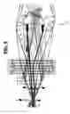 Fig. 06 - Weaving machine and method for weaving pile fabrics and spacer for such a weaving machine