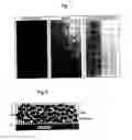 Fig. 02 - Method of improving the performance of organic coatings for corrosion resistance