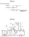 Fig. 09 - Air conditioning apparatus for vehicle and method for controlling the same