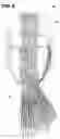 Fig. 06 - Tool and method for drilling, reaming, and cutting