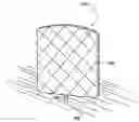 Fig. 01 - Hydrate-based desalination/purification using permeable support member