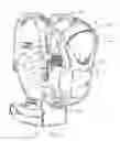 Fig. 02 - Child carrier with side buckle and venting
