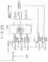 Fig. 20 - Charged particle beam apparatus