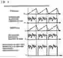 Fig. 04 - Image noise removing method in FIB/SEM complex apparatus