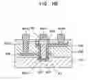 Fig. 44 - Semiconductor device gate structure and method of forming the same