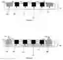 Fig. 09 - Method and structure for interfacing electronic devices