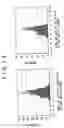 Fig. 08 - Method for producing mold for use in duplicating light diffusion sheet, light diffusion sheet and method for producing the same, and screen