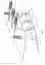 Fig. 02 - Apparatus for transporting sheets along a transport track with a bend passing around a transport roller