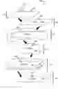 Fig. 01 - Flexible nanostructure electronic devices
