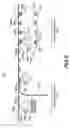 Fig. 08 - Identification marking and method for applying the identification marking to an item