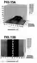Fig. 09 - Method and system for recording images