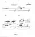 Fig. 07 - Liquid crystal display device and manufacturing method
