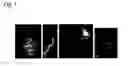 Fig. 08 - Method of full-color optical coherence tomography