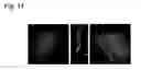 Fig. 12 - Method of full-color optical coherence tomography