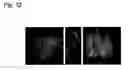 Fig. 13 - Method of full-color optical coherence tomography