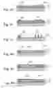 Fig. 09 - Methods for fabricating spatial light modulators with hidden comb actuators