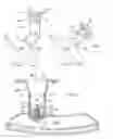 Fig. 04 - Multi-view mirror assembly for a vehicle