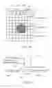 Fig. 27 - Redundantly encoded data structure for encoding a surface