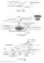 Fig. 68 - Redundantly encoded data structure for encoding a surface