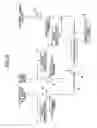 Fig. 11 - Tilt compensating apparatus and method and optical recording and reproducing apparatus using the tilt compensating method