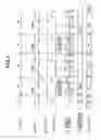 Fig. 05 - Optical recording/reproducing apparatus with APC and ACC processes
