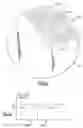 Fig. 22 - Method for triggering through disc grooves and related optical analysis discs and system