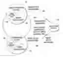 Fig. 01 - Managing links between processor-based systems