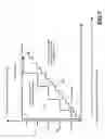 Fig. 08 - Systems and methods for anonymous commingling of service provider's subscribers on a broadband wireless network