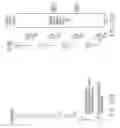 Fig. 41 - Spread spectrum, cross-correlated and filtered modulated systems