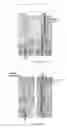 Fig. 09 - Single-level no-crossing microelectromechanical hitless switch for high density integrated optics