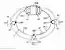 Fig. 01 - Optical ring transmission network