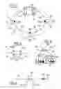 Fig. 02 - Optical ring transmission network