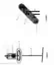 Fig. 02 - Bird repellent