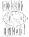 Fig. 02 - Soft tissue implants and anti-scarring agents